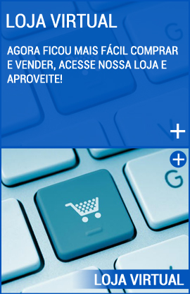 Loja Virtual do Rincão